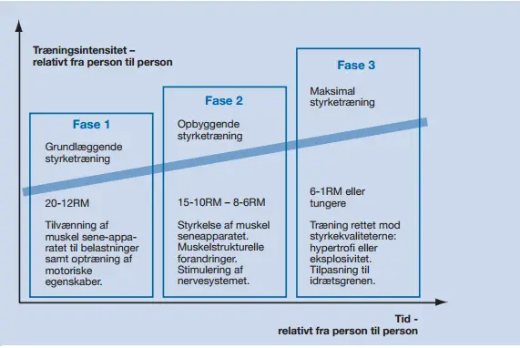 Figur 3: Et styrketræningsforløbs faser